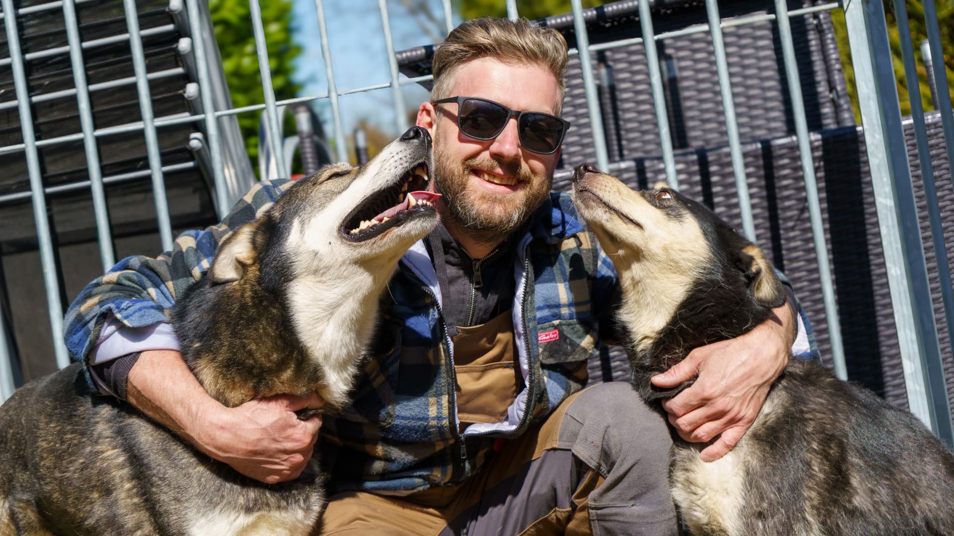 Mann mit zwei Hunden in der Sonne